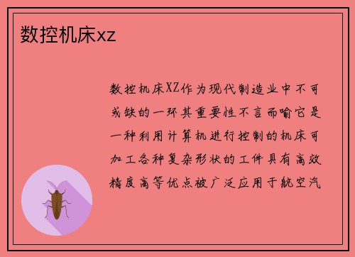 数控机床xz